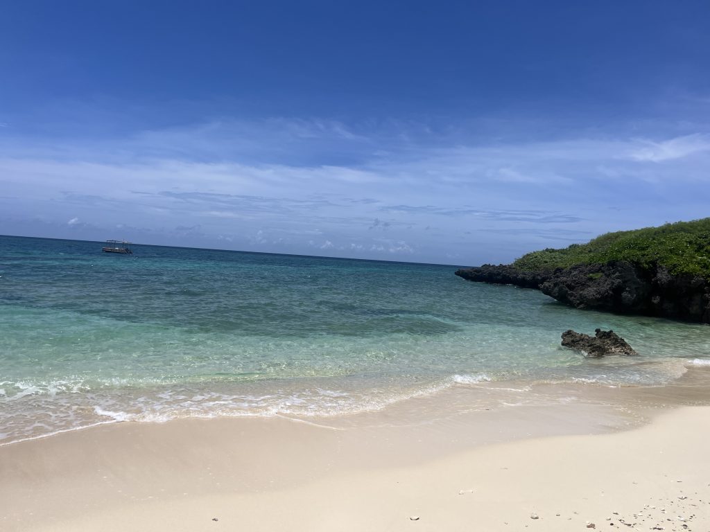 砂浜と海、波