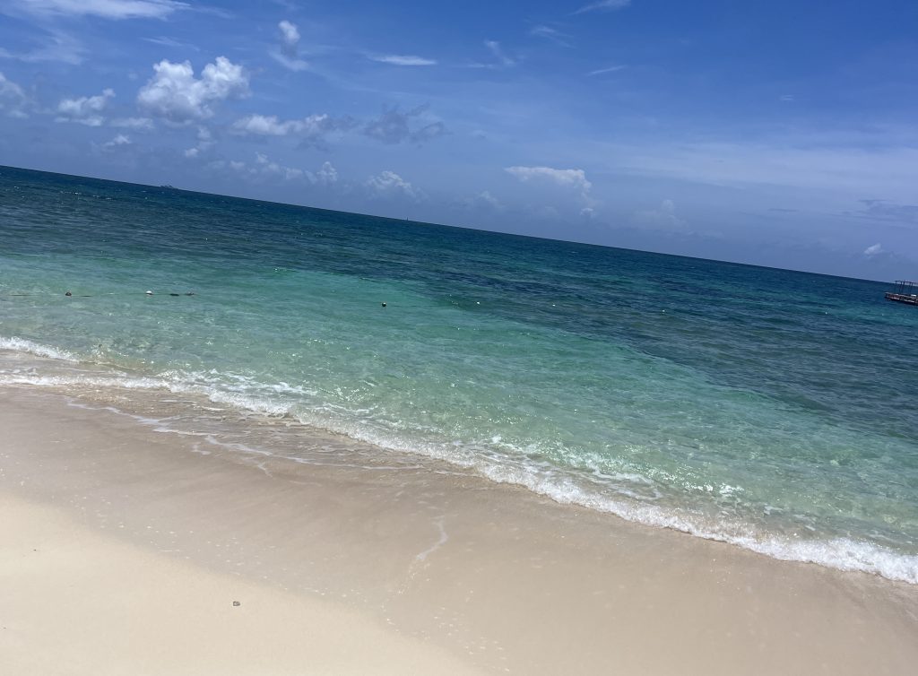 海