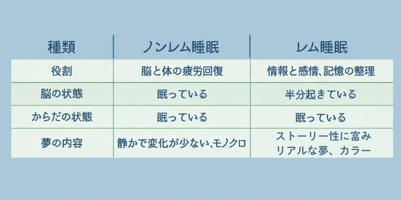 レム睡眠とノンレム睡眠についての説明