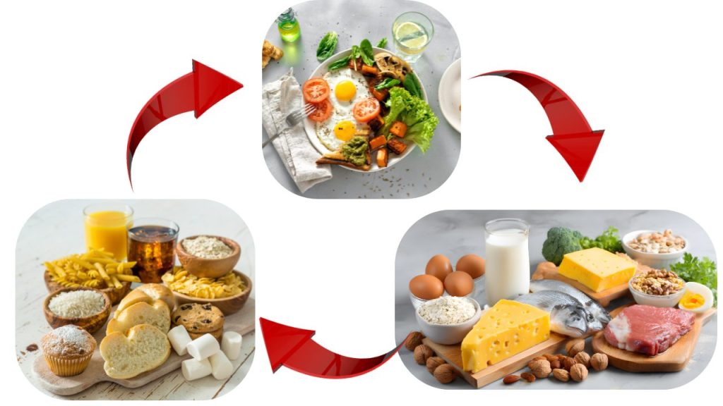 食べる順番を表す